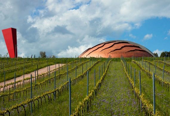 VISITA IN CANTINA CARAPACE | TENUTA CASTELBUONO